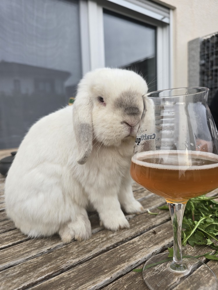 Antonius Weißbier